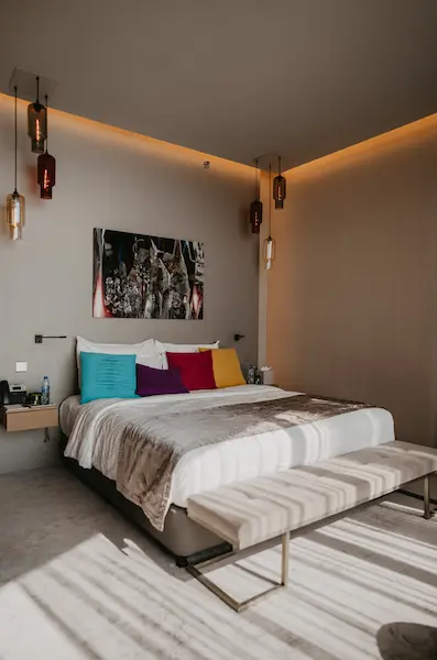 Junior Suite Casino